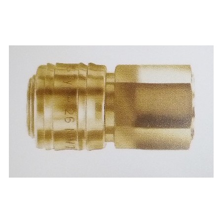 D Szybkozłączka 1/2" WW