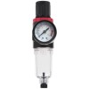 PRO Reduktor z Manometrem I Filtrem 1/4"