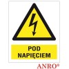 ANRO Znak Bezpieczeństwa ZZ-2EOAP105x148