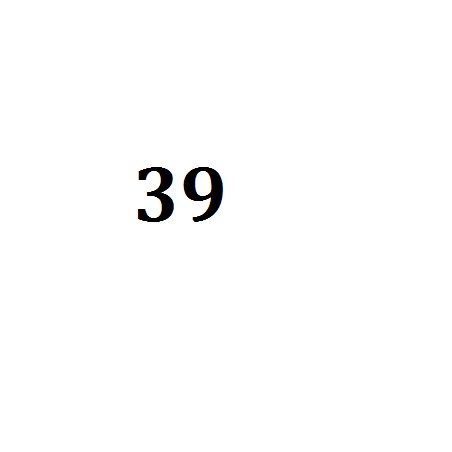 LAHTI PRO TRZEWIKI BEZ PODNOSKA (OBUWIE ZAWODOWE) 39 L3010139