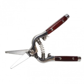 PROLINE Sekator Premium do Róż Kuty 8 40017