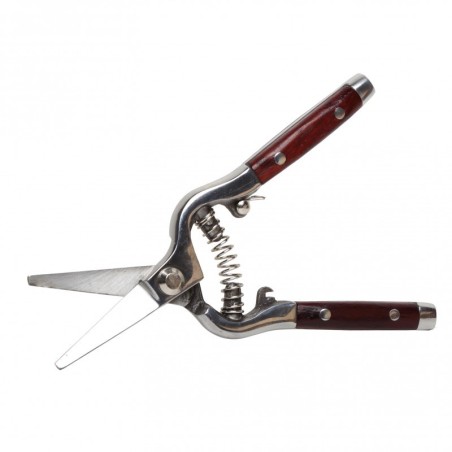 PROLINE Sekator Premium do Róż Kuty 8 40017