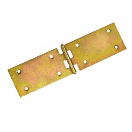 Zawias Budowlany 100x25