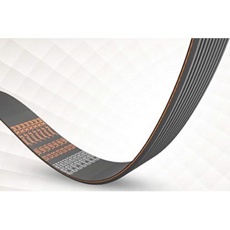 PIX X-CEED Pas Wielorowkowy 526 PJ 6   209J