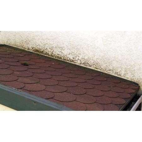 BEKO Środek Do Usuwania Zielonego Nalotu 1L 299121000