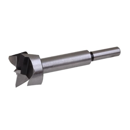 PROLINE Sednik HSS 25mm 31386