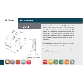 FABA Głowica Nasadzana Do Rowków 1100-3 125x16/30 z3v3+3 HW (G103-125-2163-0) 2