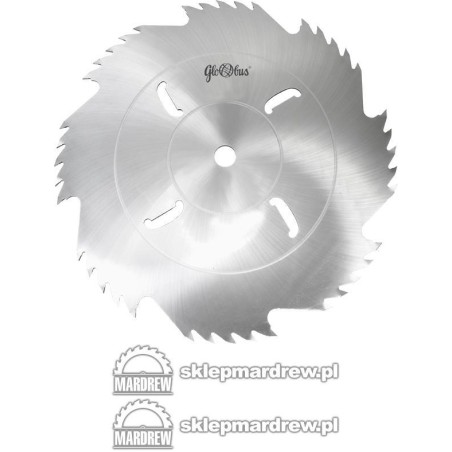 GLOBUS Piła 1000x5,5/40 z-8x5 WA30 (F)